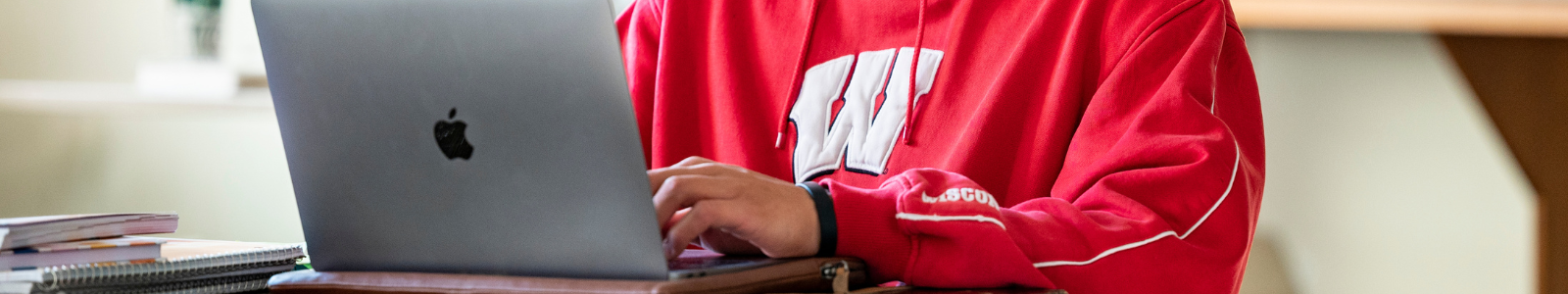 Banner photo features a person wearing a sweatshirt with UW-Madison's 'W' logo typing on a computer